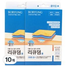리큐덤 보령 삼출물 흡수 폼 2p, 10개