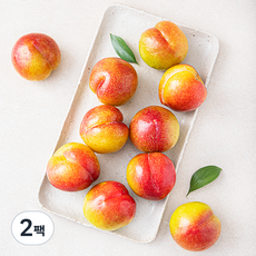 이로운 군위 당도선별 추희 자두 특대, 1.2kg, 2팩