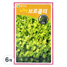 다농 새싹브로콜리 씨앗, 6개