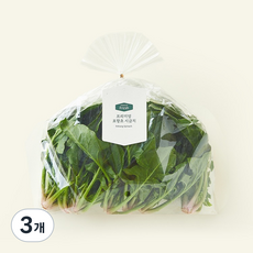 프리미엄 포항초 시금치, 250g, 3개