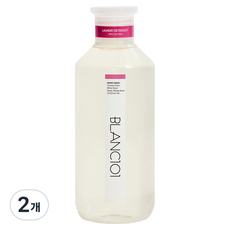 블랑101 메리 베리 세탁세제, 2개, 1L