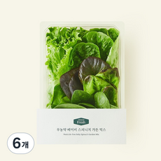 [로켓프레시]프리미엄 무농약 베이비 스피니치 가든 믹스, 120g, 1개입, 6개