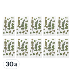 Appree 壓花貼紙, 尤加利, 30個