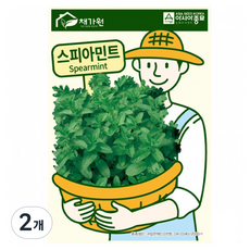 채가원 허브 스피아민트 씨앗, 2개