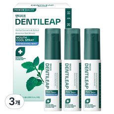 2080 Dentileap涼爽口腔噴霧 3入, 30ml, 3盒