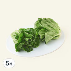 팜에이트 무농약 인증 스마트팜 미니로메인 2개입, 200g, 5개