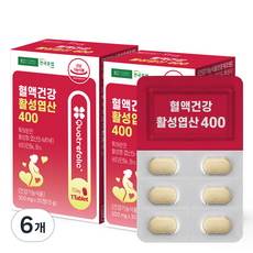 건국유업 혈액건강 활성엽산 400 15g, 30정, 6개