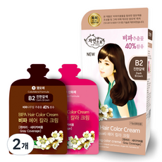 자연으로 비파 헤어 칼라 크림, B2 진한갈색, 120ml, 2개