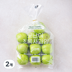 셀렉트팜 GAP 인증 못난이 초록사과 얌 중과, 2개, 2kg(9~11입)