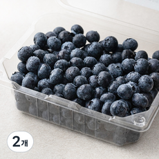 좋은하루 생생 GAP 인증 블루베리, 500g, 2개
