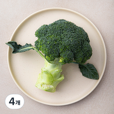 친환경 제주 브로콜리, 250g, 1개입, 4개, 250g