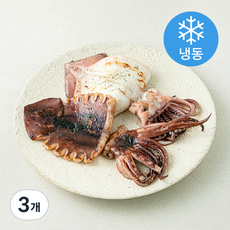 바이오션 반건조 오징어 (냉동), 3개, 320g