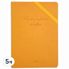 아이디얼 외붙임 노트 25절, 오렌지, 5개