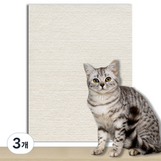 KODACHIEF 고양이 긁힘 방지 냥냥 앙증 스크래쳐 매트, 40 베이지, 3개