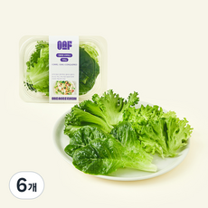 원에이커팜 무농약 인증 시저믹스, 100g, 6개, 1개입