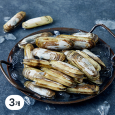 어부심 국내산 맛조개 (냉장), 3개, 500g