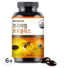뉴트리원 프리미엄 프로폴리스 60g, 120정, 6개