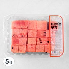 바로먹는 수박, 800g, 5개