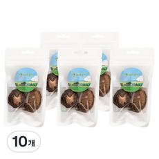 해리별리 건조 통표고버섯, 10개, 12g