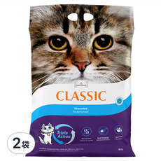 Intersand 晶鑽 凝結細砂, 原味, 14kg, 2袋