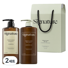 엘라스틴 시그니처 두피 앤 손상 클리닉 약산성 샴푸 1L + 극손상 헤어팩 트리트먼트 1L + 기프트 박스 세트, 2세트