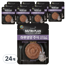 동원뉴트리플랜 어덜트 고양이 하루영양 주식파우치, 닭+참치, 80g, 24개