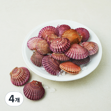 어부심 국내산 제철 홍가리비 (냉장), 4개, 1kg