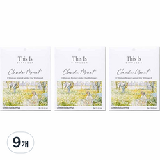디스이즈명화 걸이형 종이사쉐 본품, 4g, 9개, 레몬유칼립투스