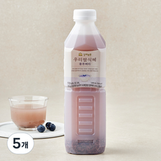 상하농원 우리쌀식혜 블루베리, 5개, 1L