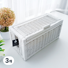 MAISONINDAHRATTANSHOP 高級藤編延長線收納盒 藤籃, 3個, 白色