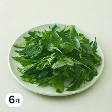 당귀잎, 50g, 6개