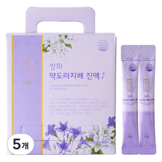 천양삼 쌍화 약도라지배 진액스틱, 15g, 100개입, 5개