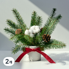 코코도르 생화 센터피스 크리스마스 장식, 그린믹스, 2개