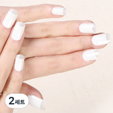 데이소이 베이직 컬러 젤 네일 스티커 11종 x 2p 세트, 02 컬러, 2세트