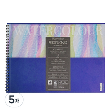 파브리아노 뉴워터칼라 NW11 스케치북 스프링형, 135 x 210 mm, 12매, 5개
