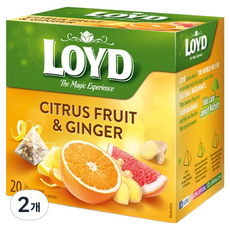 LOYD 시트러스 프룻 앤 진저 인퓨전 티백, 2g, 2개, 20개입