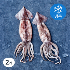 비비수산 살아있을때 깔끔하게 손질한 통오징어 (냉동), 2개, 350g(2미)