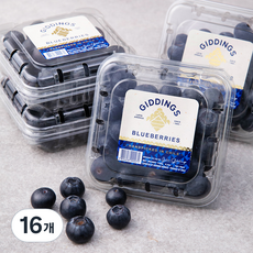 엠팍 칠레산 생블루베리, 125g, 16개