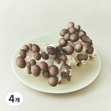 블랙 머쉬 버섯, 4개, 160g