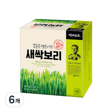 쌍계명차 김동곤 명인이 만든 새싹보리, 700mg, 40개입, 6개