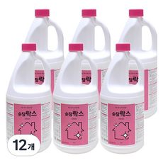 순담 락스, 2L, 12개