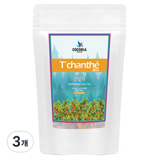 TChanthe 傳統茶 柿葉茶 三角茶包, 3個, 25入, 1.5g
