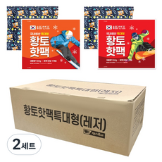 팬시로비 1000 대용량 황토핫팩 레저 150g x 2종 x 10p 세트, 2세트