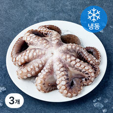 비비수산 깨끗하게 손질한 문어 한마리 (냉동), 3개, 600g