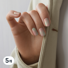 젤리팝 디자인 셀프 네일 아트 그라데이션 네일스티커 TS, 5개, 26 모닝캄