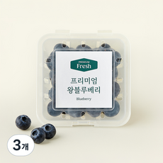 프리미엄 왕 블루베리, 100g, 3개