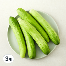 천안 아우내 오이, 220g, 3개, 5개입