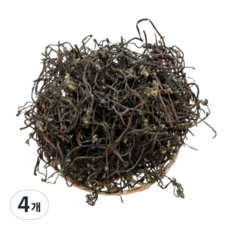 햇살팜 건고사리, 100g, 4개