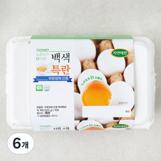 자연애찬 무항생제 인증 백색 특란, 15구, 6개