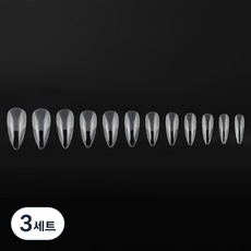 비앙티노 반무광 풀커버 인조 네일 팁 25BRS288 12종 x 20p 세트 No14, 3세트, 투명